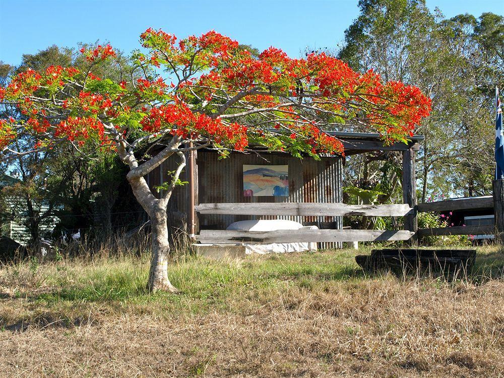 Amamoor Lodge Extérieur photo